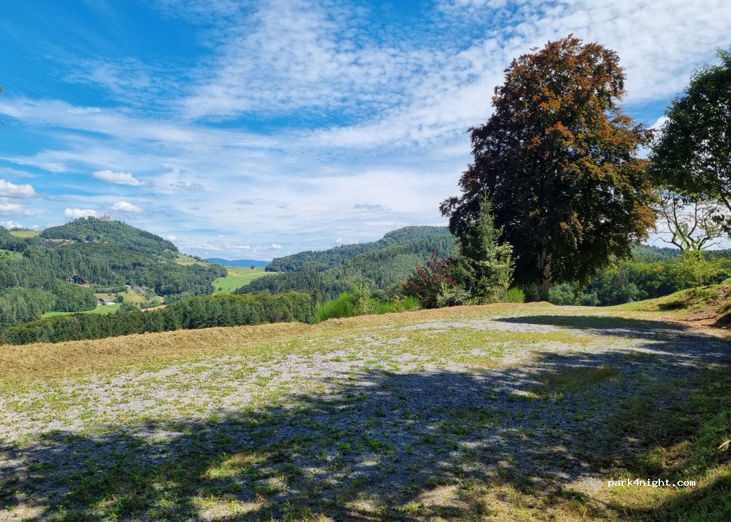 (77960) Seelbach - — foto
