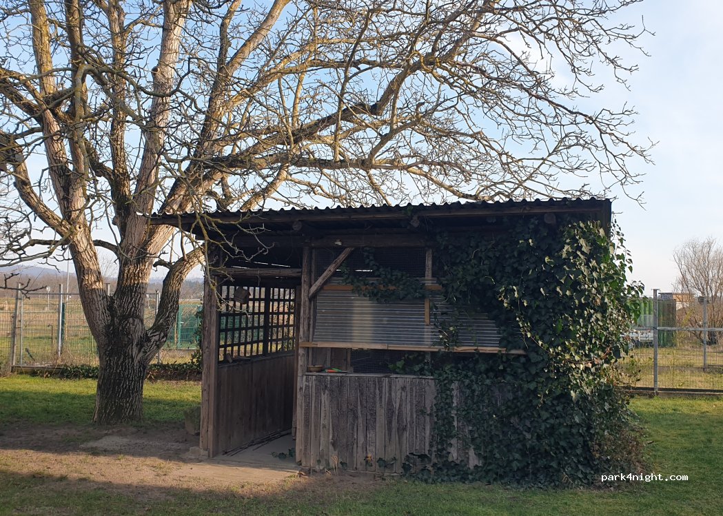 Spargelhof Holger Schmitt — foto 4