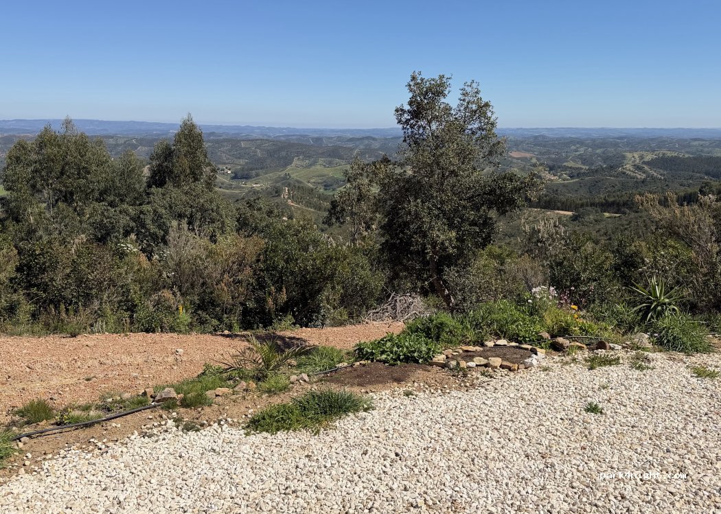 Monte Parreira — foto 2