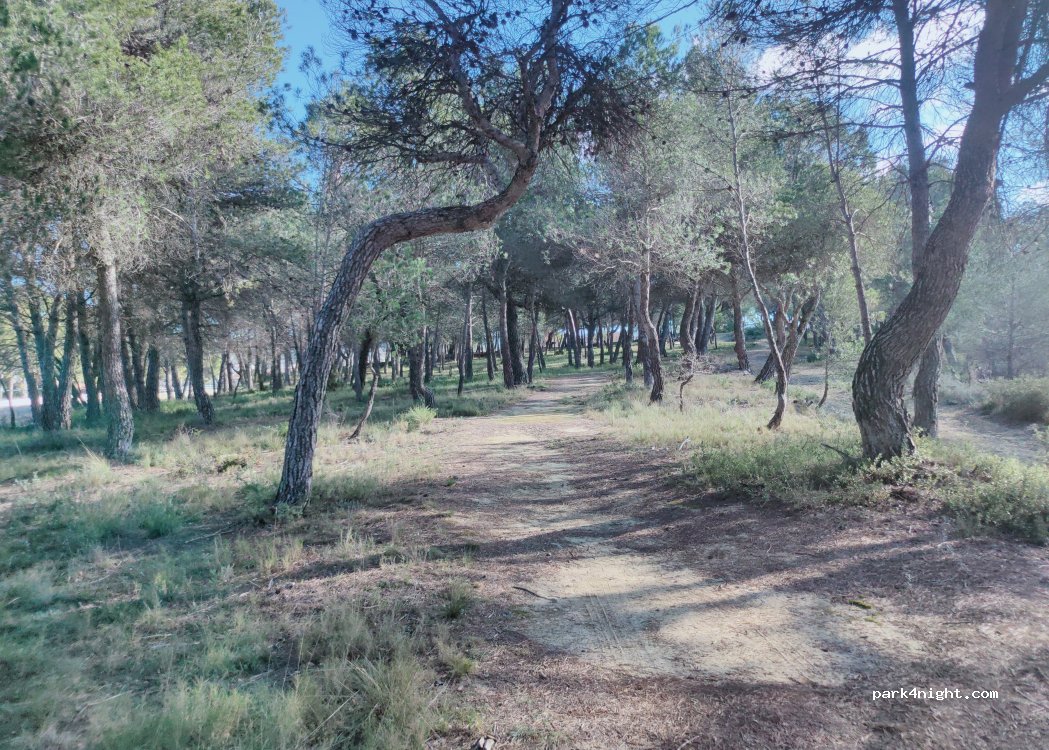 (43426) Rocafort de Queralt - — foto