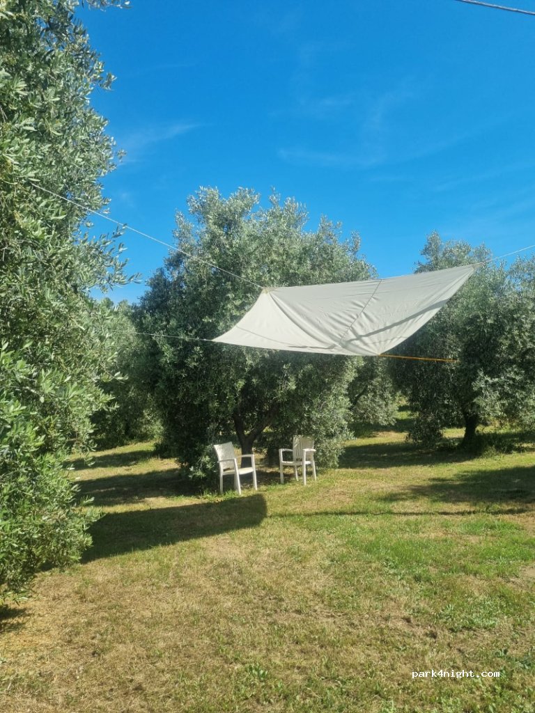 Agriturismo Terra Nera — foto 3