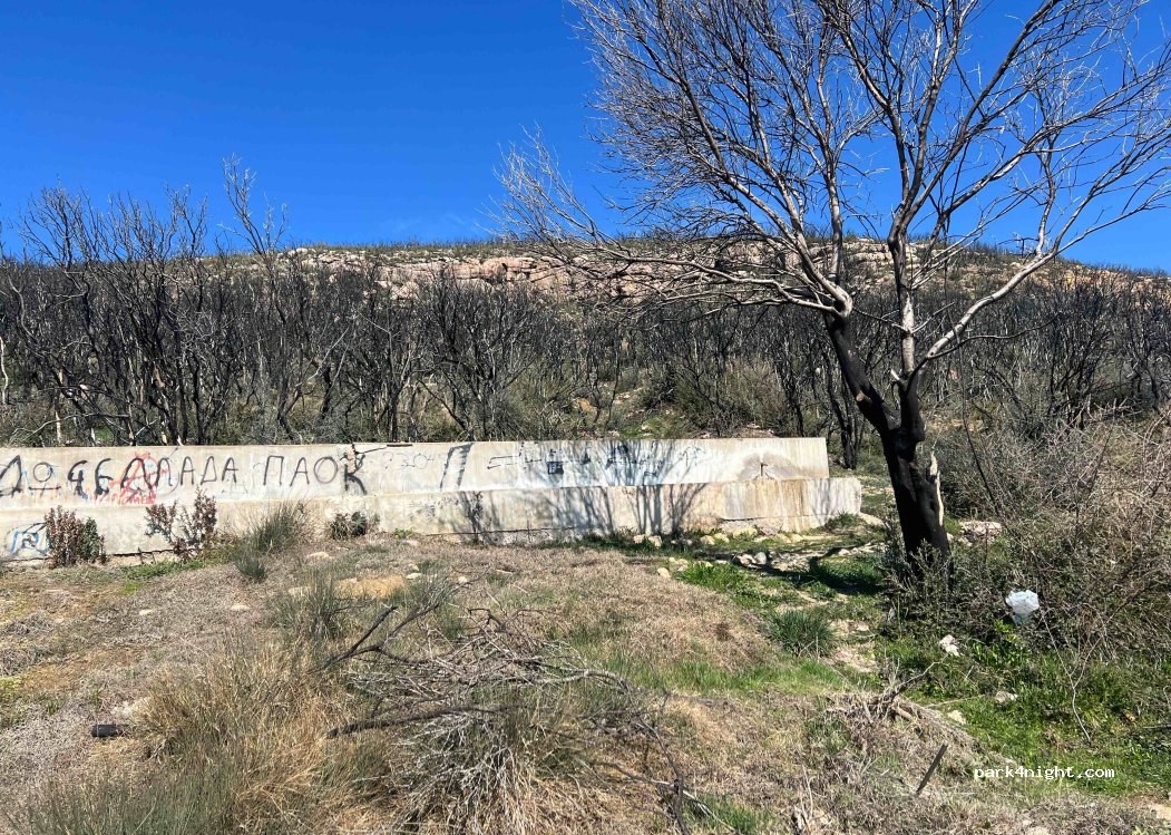 (693 00) Maronia Sapes - Unnamed Road — foto