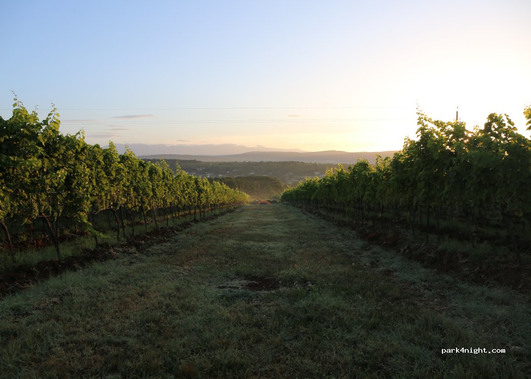 Vinarija Boskovic — foto 2