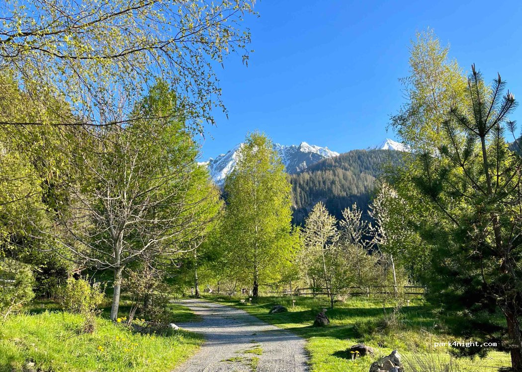 Camping Carrera — foto 4