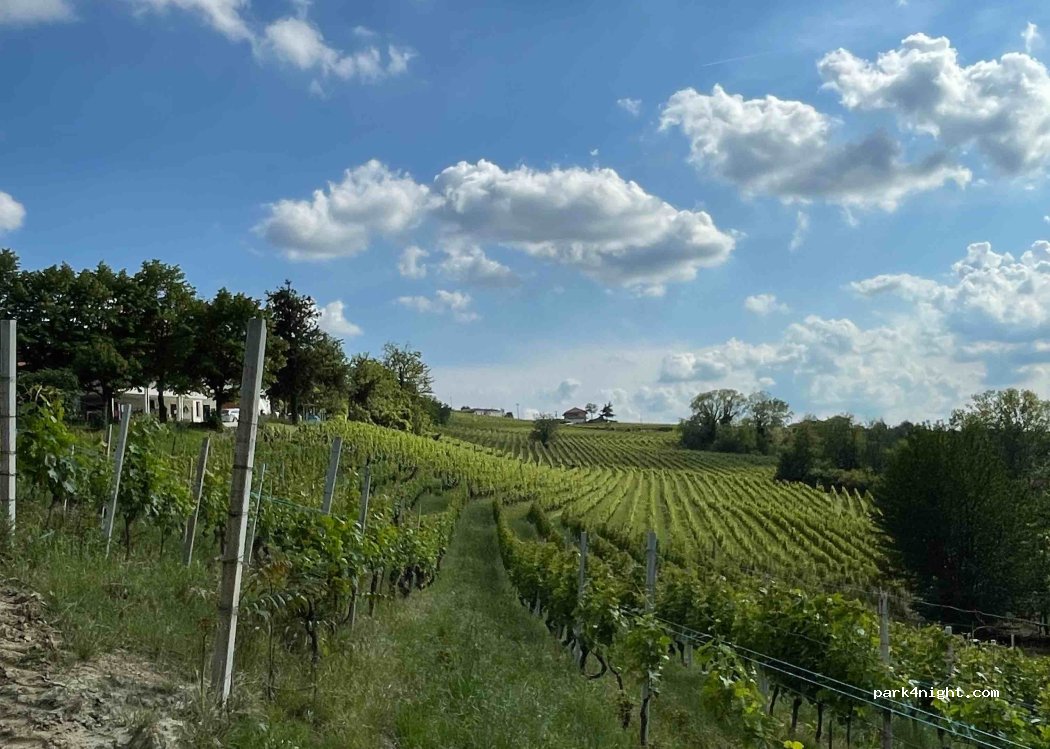 (12053) Castiglione Tinella - 11 Strada Manzotti — foto 2