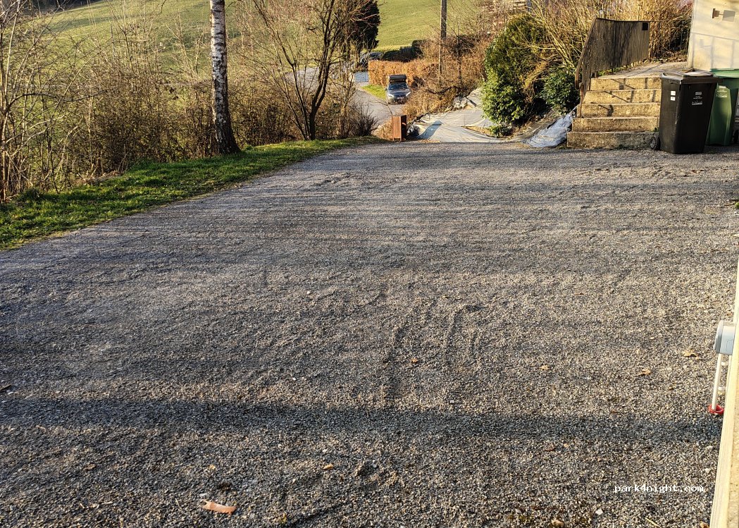 (4910) Theux - 4 Arbre Sous Pré — foto