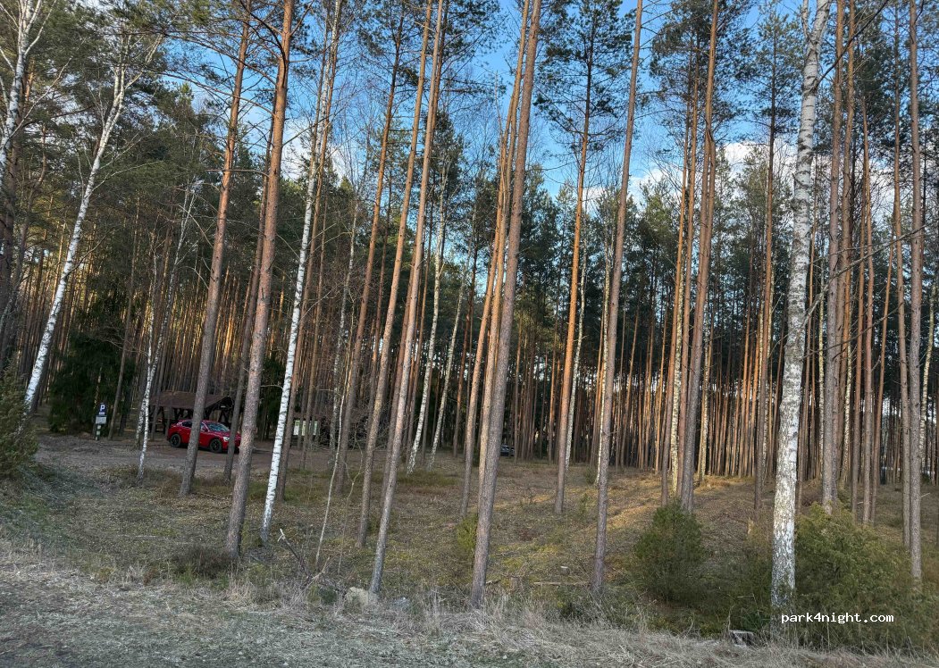 (89) Woziwoda - — foto