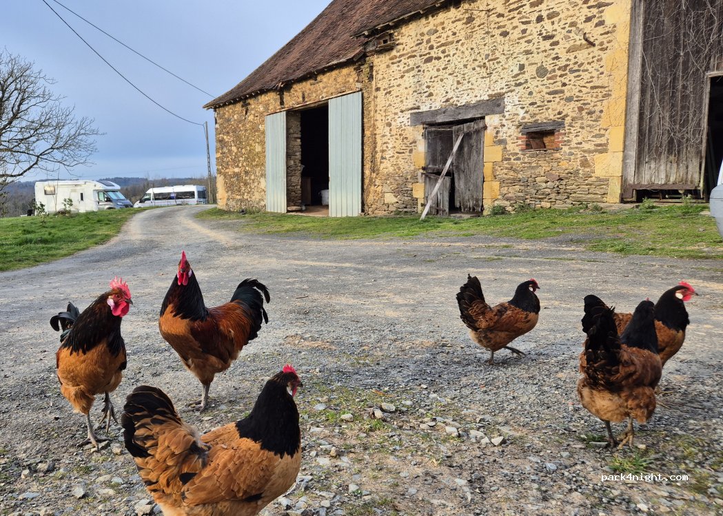 Les Gites du Paradinas — foto 5