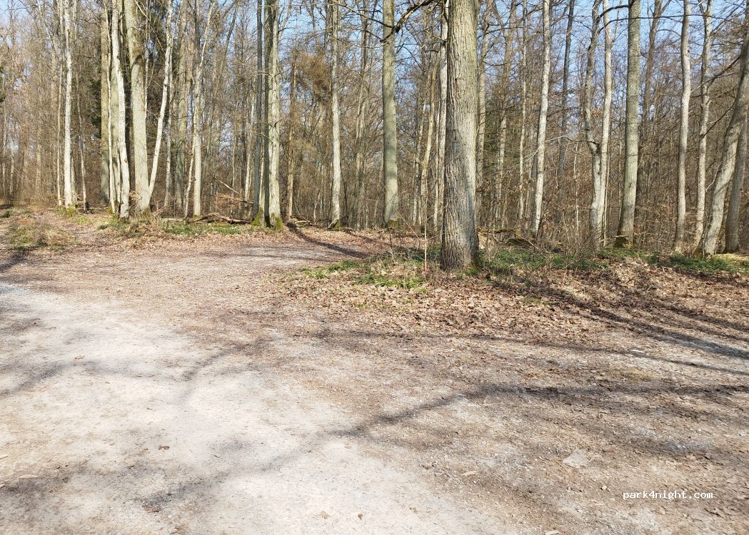(97222) Gramschatzer Wald - Unnamed road — foto