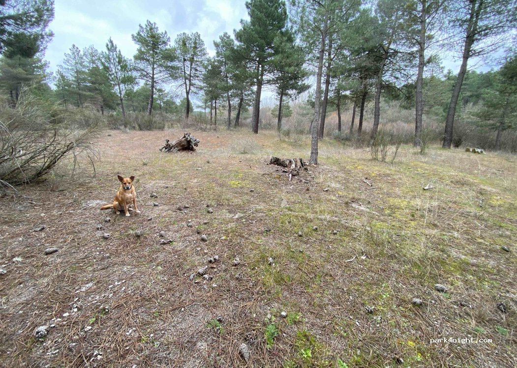(40352) Lastras de Cuéllar - — foto