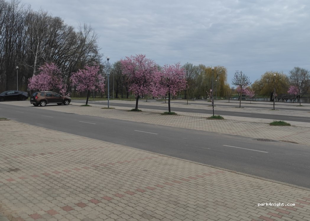 (4300) Nyírbátor - 1 Fürdő utca — foto