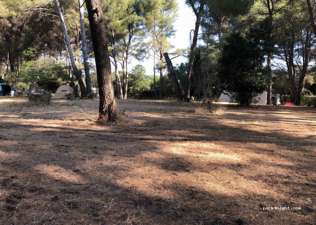 Camping La Pinède — foto