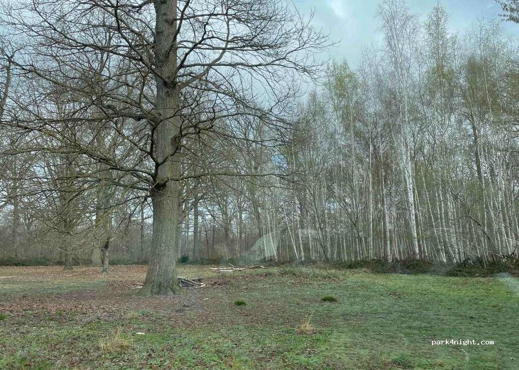 (77910) Germigny-l'Évêque - — foto 2