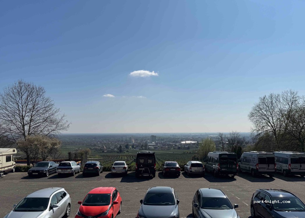 (67433) Neustadt an der Weinstraße - 94 Mandelring — foto