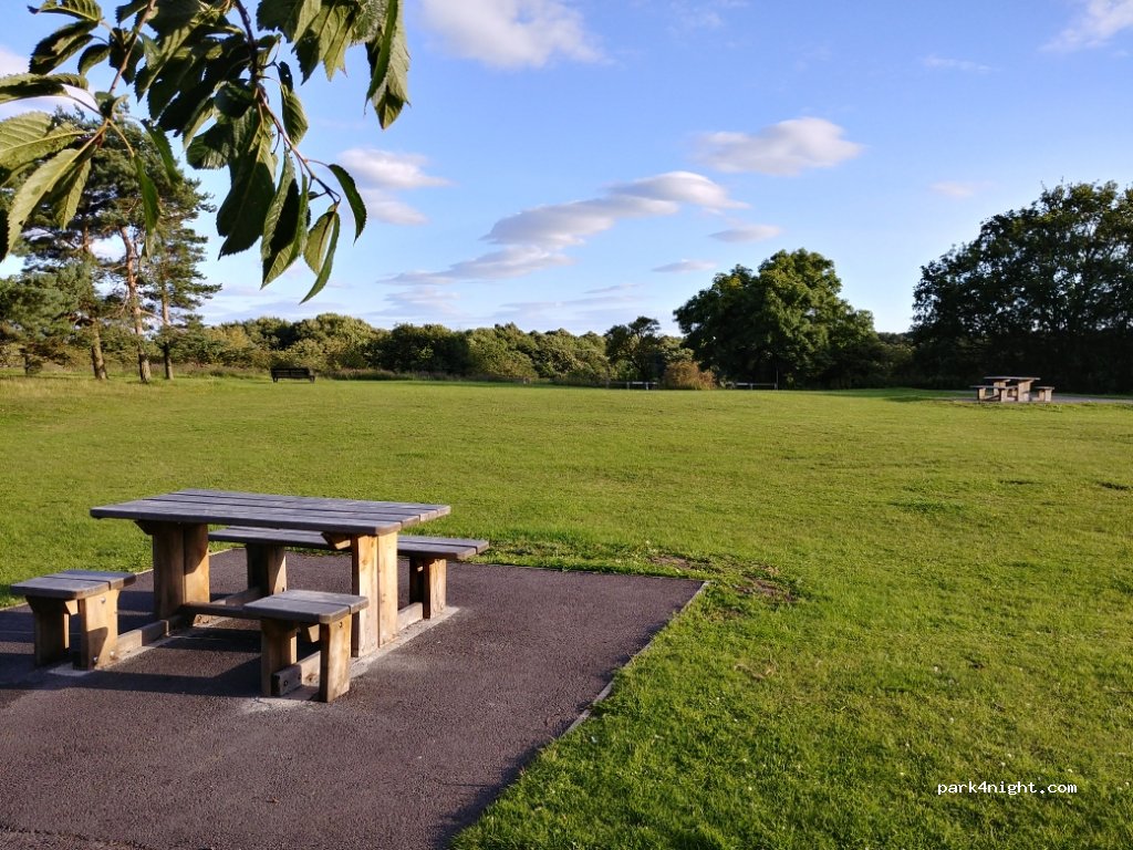 (DH7)  - Broom Lane — foto