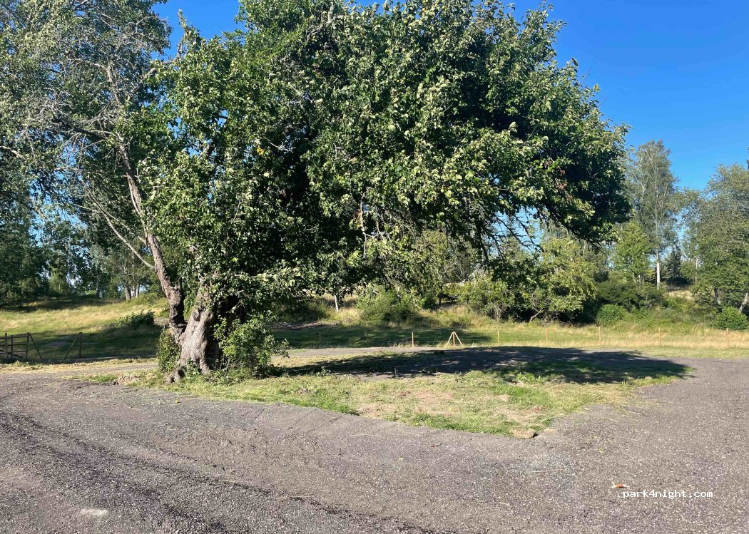 Tegelviken Naturcamping — foto 2
