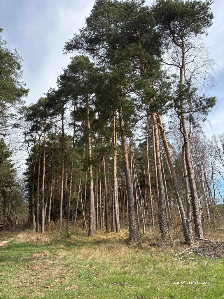 (19412) Weitendorf - — foto