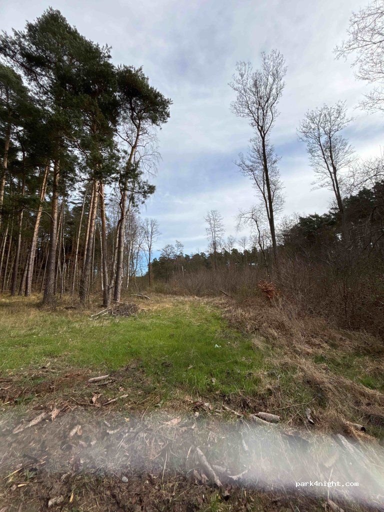 (19412) Weitendorf - — foto 3