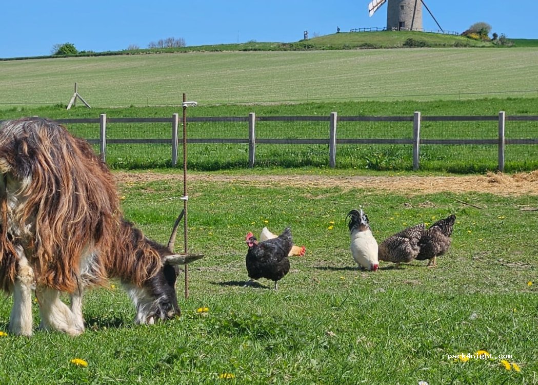 Ferme d'Antan — foto 3