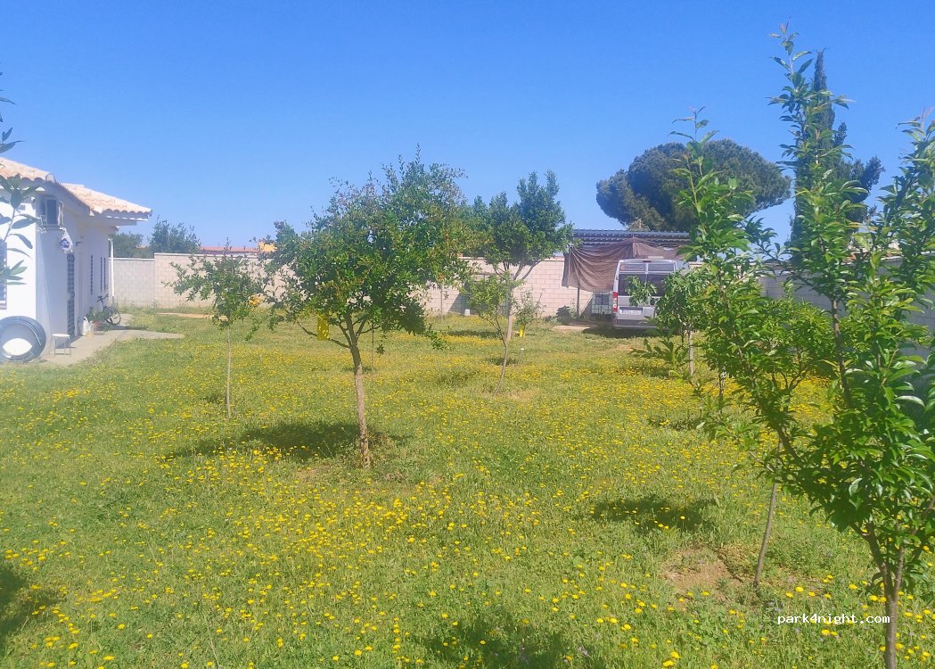 (41410) Carmona - — foto 3