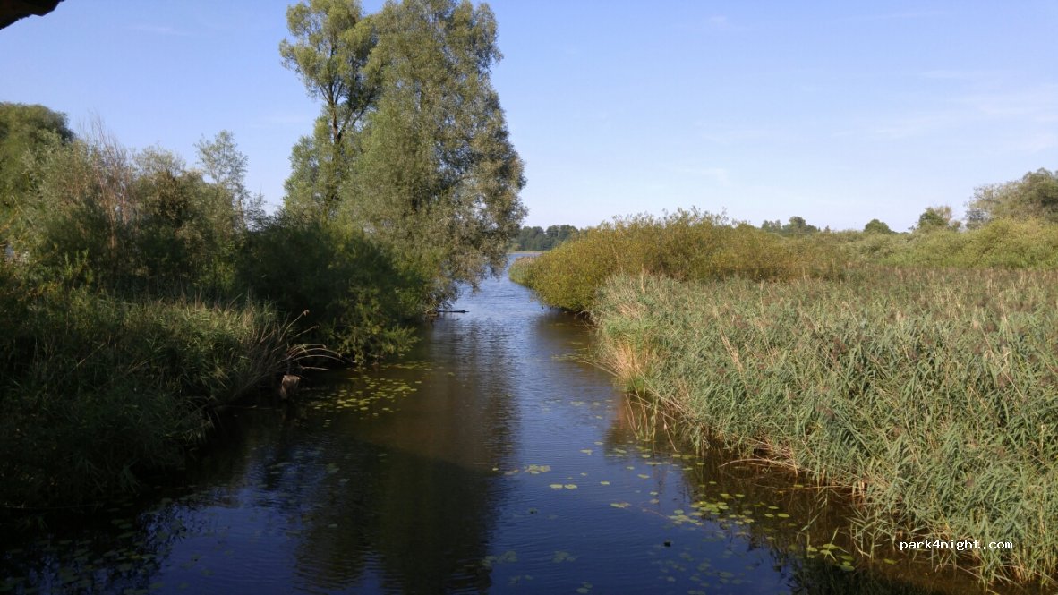 (83253) Rimsting - Uferweg — foto 3