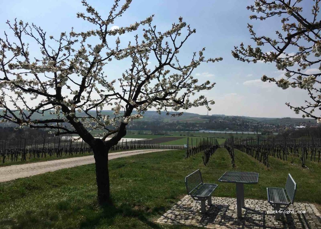 (97509) Kolitzheim - — foto