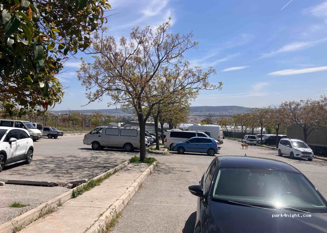 (35270) Konak - 11 992. Sokak — foto