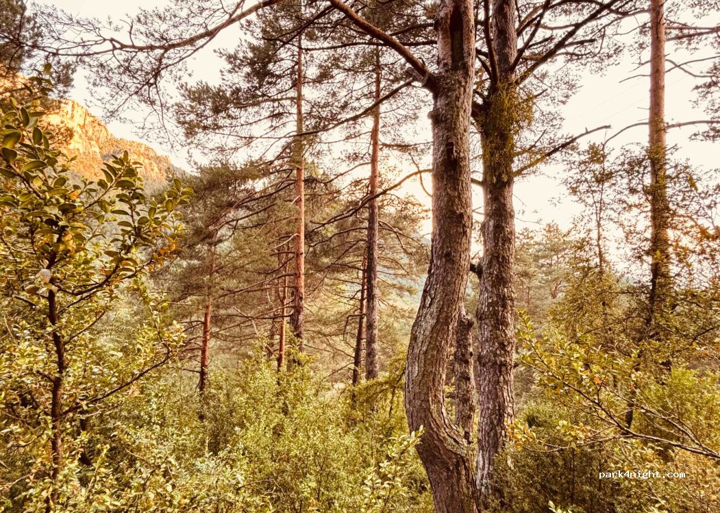 Refugi Caro UEC — foto