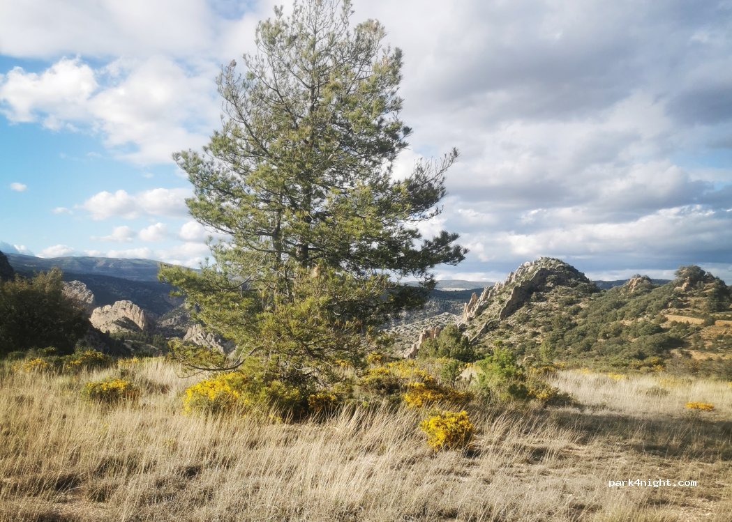 (44559) Villarluengo - — foto