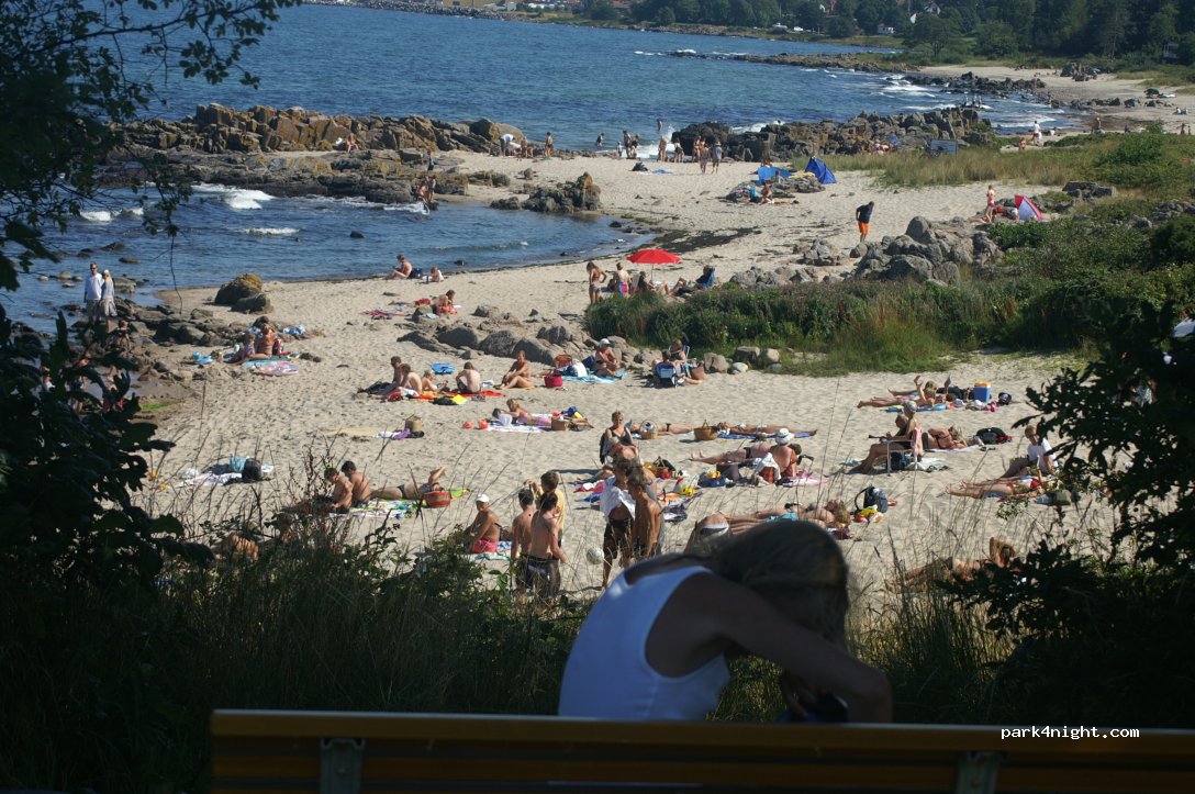 Sandkaas Familiecamping — foto 2