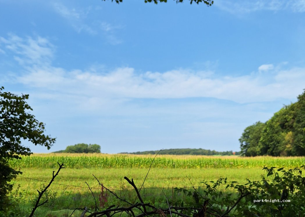 (31553) Auhagen - 1 Am Reiherwald — foto