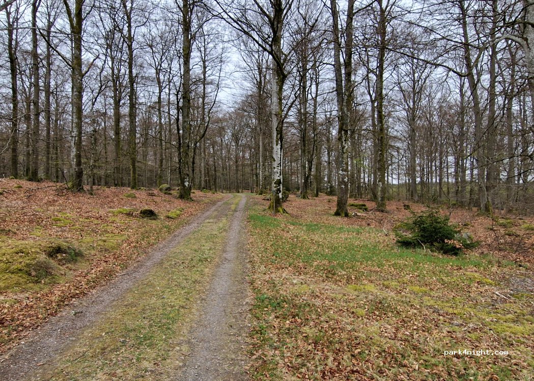(281 46) Tormestorp - — foto 2