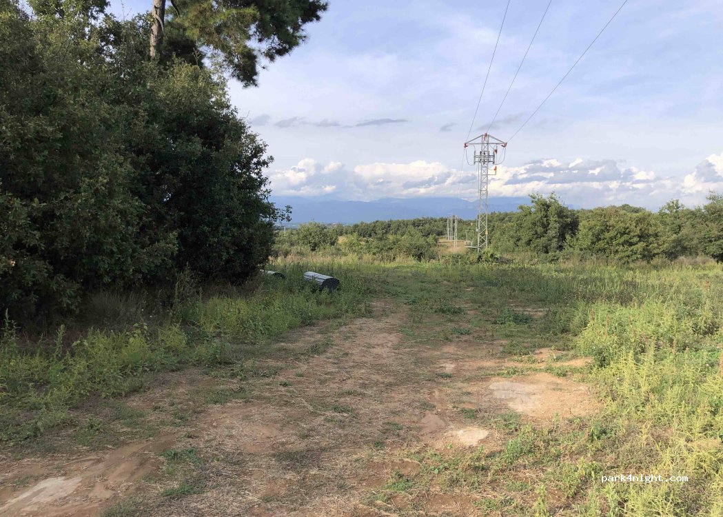 (25287) El Miracle - — foto 4