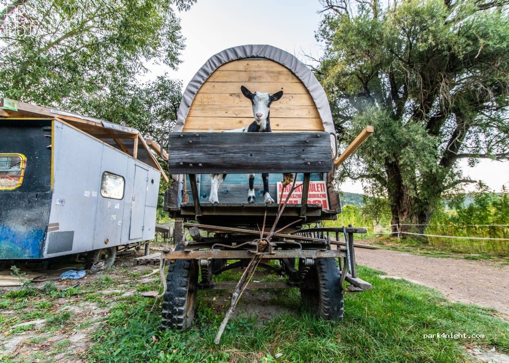 Nomad Campsite — foto 3