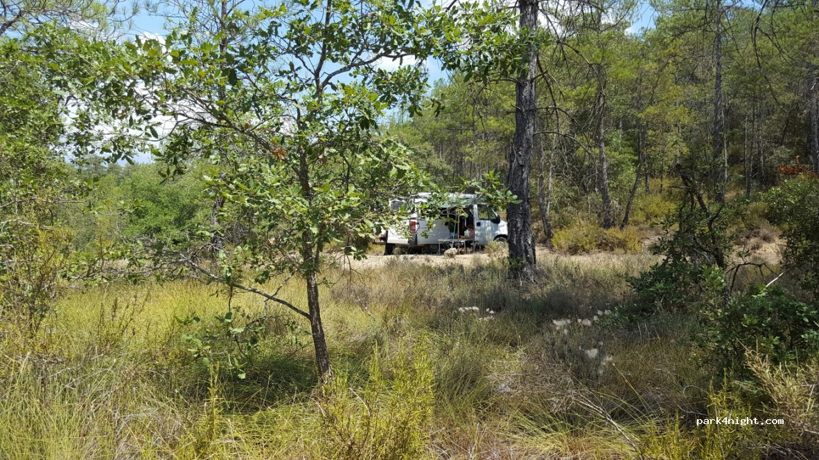 (25792) Bassella - Unnamed Road — foto