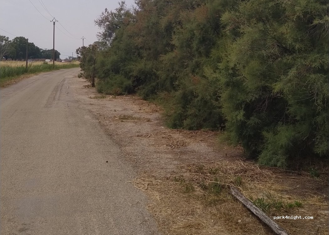 (30220) Aigues-Mortes - D62 — foto 4