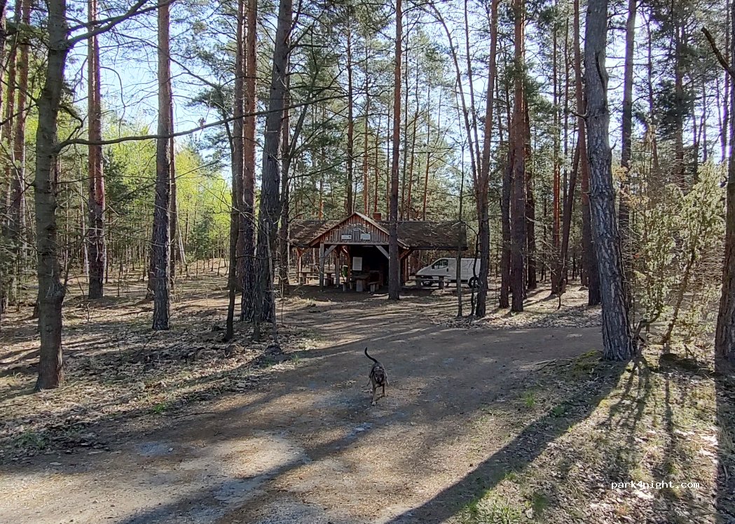(22) Sobibór - DW816 — foto