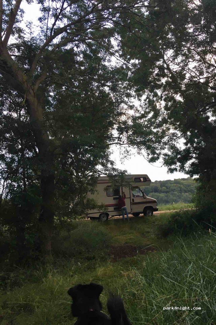 (49400) Saumur - Chemin de la Petite Monnie — foto