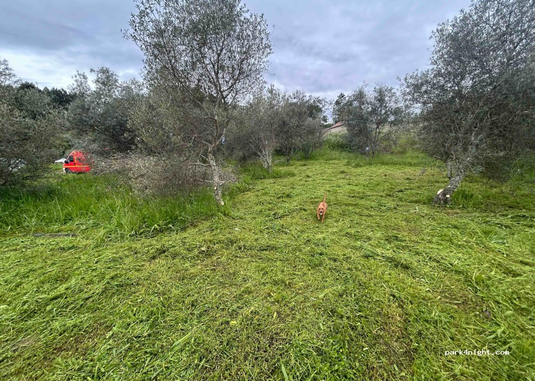 Quinta do Burro — foto 3
