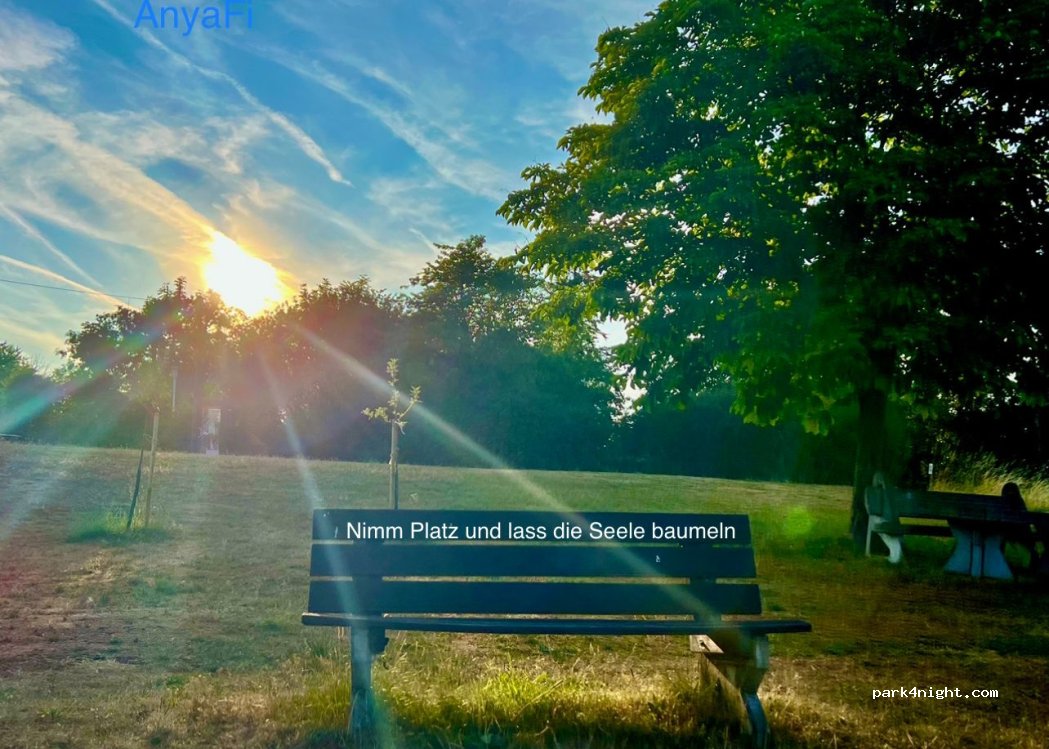 FSG Oberhessen e.V. - FKK Camping — foto 2