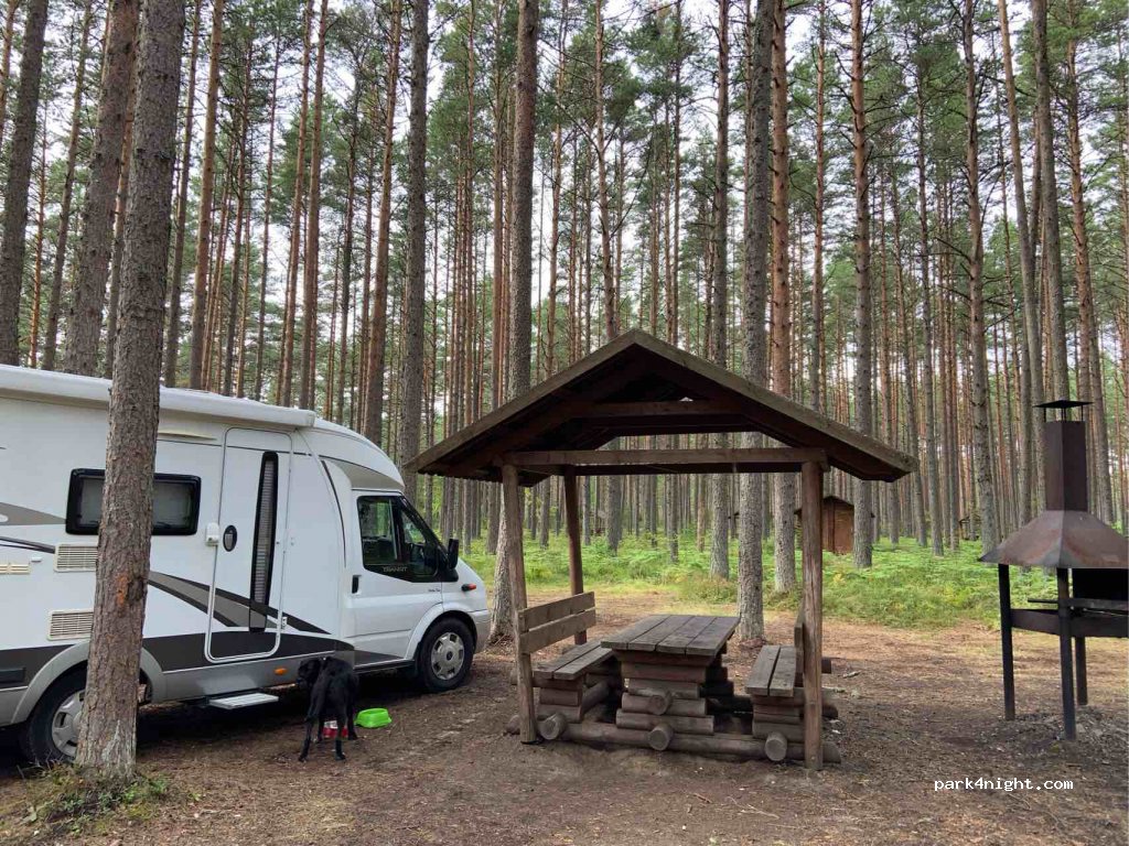(41006)  - Kauksi-Vasknarva — foto