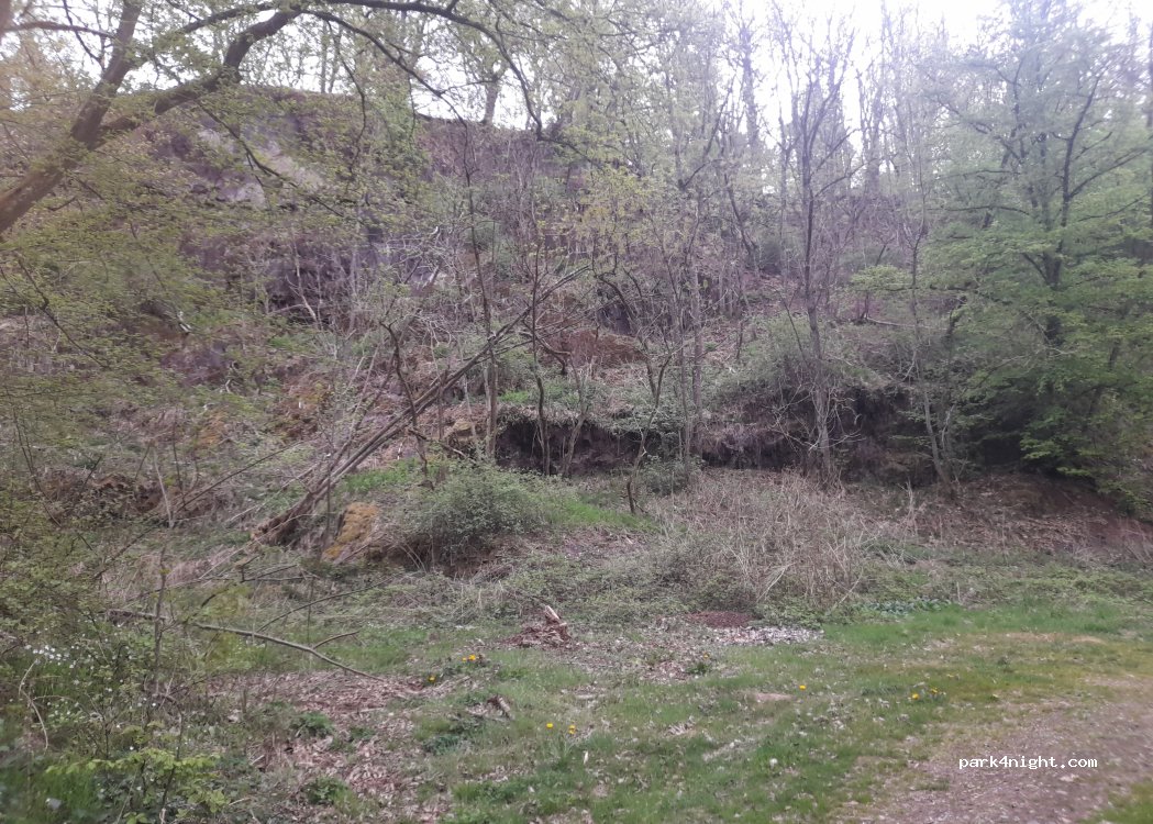 (99755) Ellrich - — foto 2