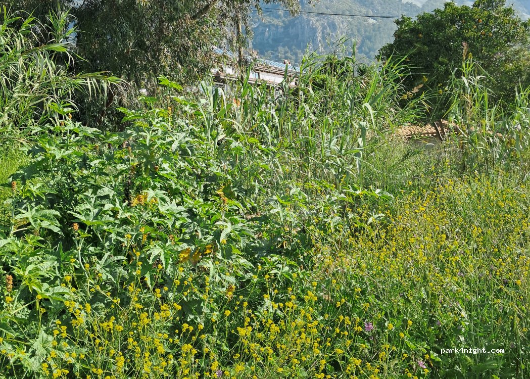 (48650) Ula - 28/A Karanfil Sokak — foto