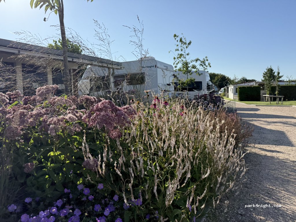 Camping Wad noch Meer — foto 4