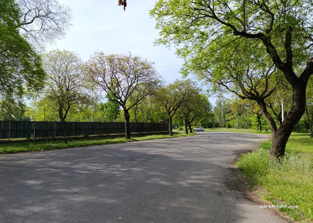 (1101) Budapest - Dr. Koves Janos stny — foto 3