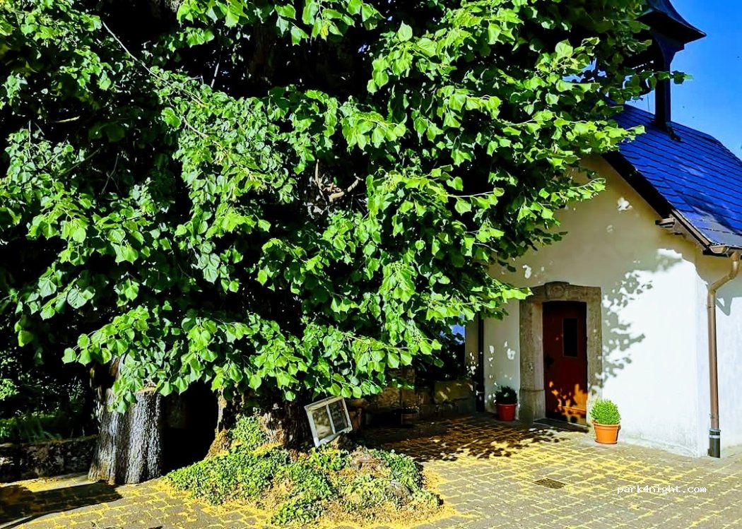 (91278) Pottenstein - 1 Trägweis — foto