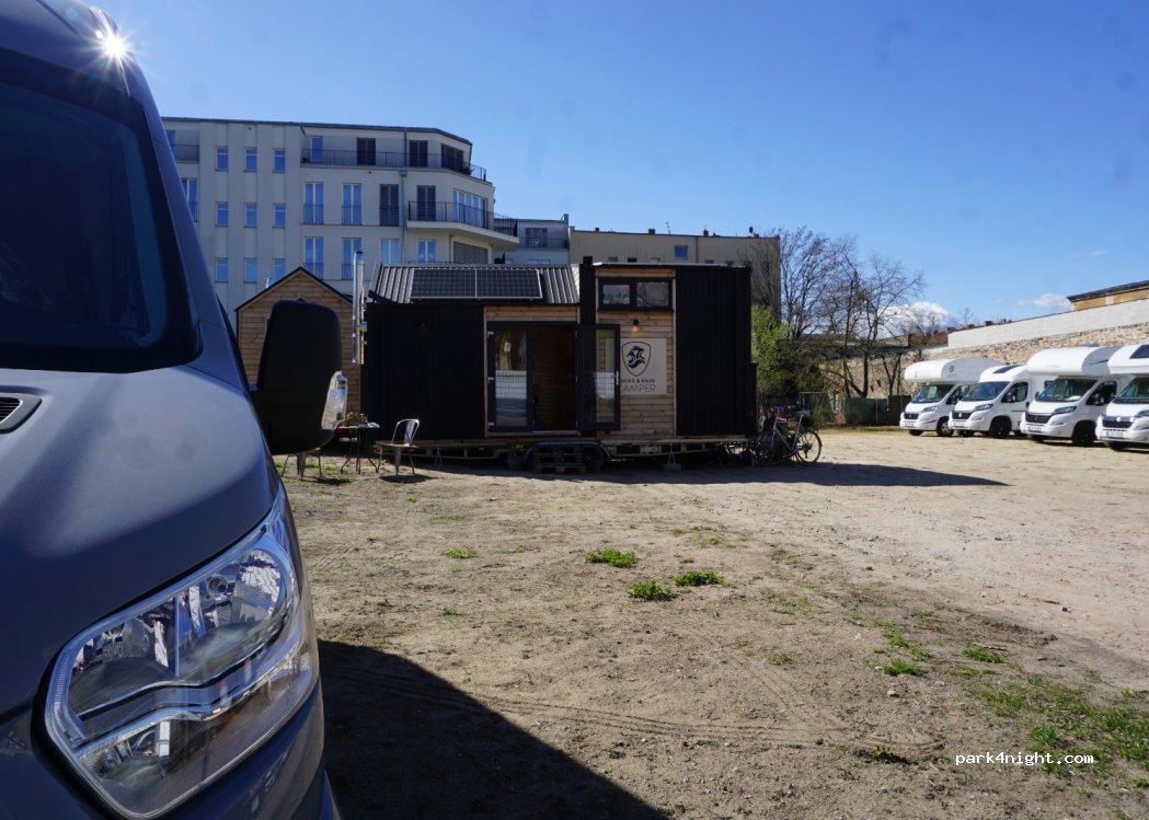 Fuchswiese Berlin — foto