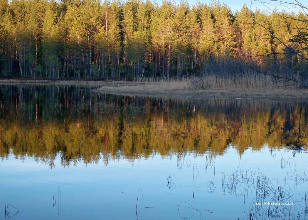 (811 95) Järbo - — foto 2