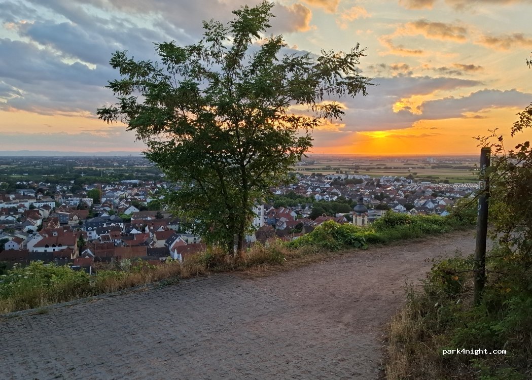 (69198) Schriesheim - Strahlenberger Str — foto 5