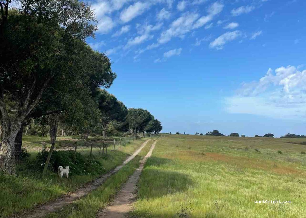 (7520-050) Sines - — foto 3